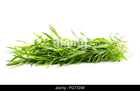 Bündel Estragon Pflanze isoliert auf weißem Stockfoto