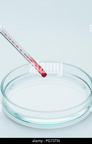 Nahaufnahme der Pipette mit Blut über Leere Petrischale auf weiße Oberfläche Stockfoto