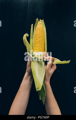 Zugeschnittenes Bild der Frau mit Maiskolben in den Händen Stockfoto