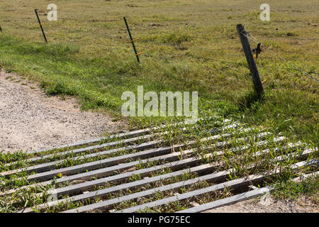 Rinder Ranch Wachmann am Eingang in den ländlichen Montana, USA Stockfoto