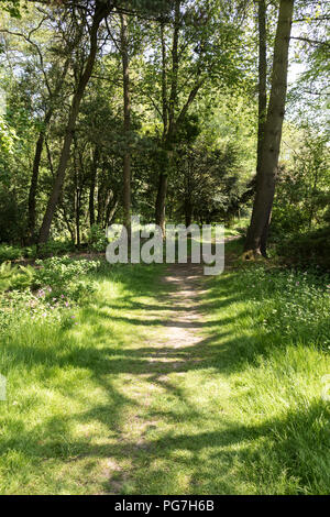 Parcevall Hall & Gardens, an Skyreholme in Bösingen, Yorkshire Dales, Großbritannien Stockfoto