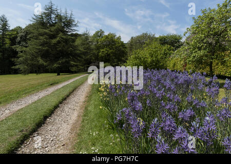 Parcevall Hall & Gardens, an Skyreholme in Bösingen, Yorkshire Dales, Großbritannien Stockfoto