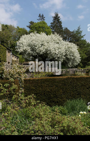 Parcevall Hall & Gardens, an Skyreholme in Bösingen, Yorkshire Dales, Großbritannien Stockfoto