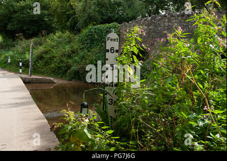 Wellow Ford mit Packesel Brücke und Irische Brücke, Wellow, Somerset, Großbritannien Stockfoto