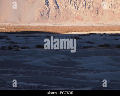 Sanddünen im Erdgeschoss des Nubra Valley, Ladakh, zwischen dem Himalaja und Karakorum reicht Stockfoto