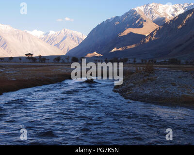 Sanddünen im Erdgeschoss des Nubra Valley, Ladakh, zwischen dem Himalaja und Karakorum reicht Stockfoto