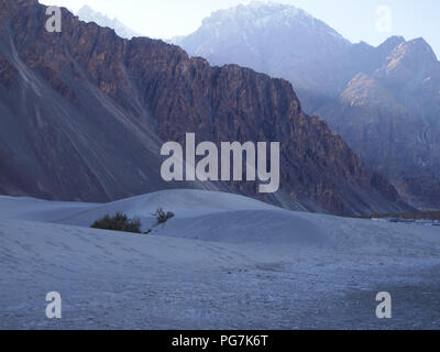 Sanddünen im Erdgeschoss des Nubra Valley, Ladakh, zwischen dem Himalaja und Karakorum reicht Stockfoto