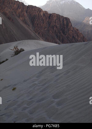Sanddünen im Erdgeschoss des Nubra Valley, Ladakh, zwischen dem Himalaja und Karakorum reicht Stockfoto