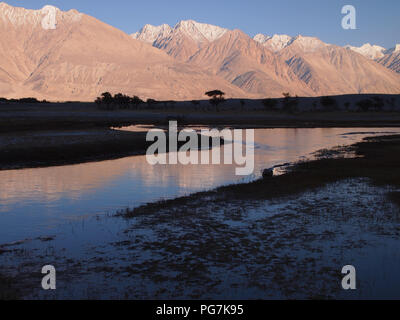 Sanddünen im Erdgeschoss des Nubra Valley, Ladakh, zwischen dem Himalaja und Karakorum reicht Stockfoto