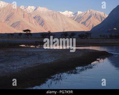 Sanddünen im Erdgeschoss des Nubra Valley, Ladakh, zwischen dem Himalaja und Karakorum reicht Stockfoto