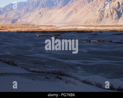 Sanddünen im Erdgeschoss des Nubra Valley, Ladakh, zwischen dem Himalaja und Karakorum reicht Stockfoto