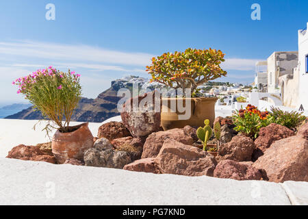 Rock im mediterranen Garten mit Blick auf die steilen Klippen von Santorini, Griechenland Stockfoto