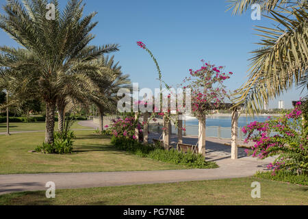 Palmen und Bougainvillea pink neben dem künstlichen Teich in Al Barsha Pond Park, Dubai, Vereinigte Arabische Emirate Stockfoto