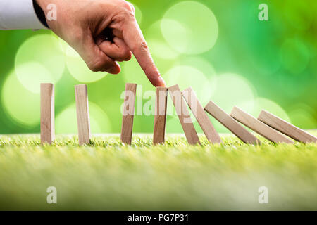 Einer Person die Hand anhalten, die Holzklötze auf grünem Gras Stockfoto