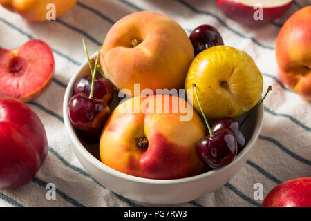 Raw Organic sortierten Stonefruit Pfirsiche Pflaumen, Nektarinen und Brugnolen Stockfoto