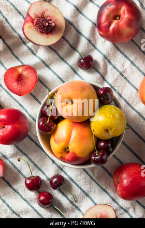 Raw Organic sortierten Stonefruit Pfirsiche Pflaumen, Nektarinen und Brugnolen Stockfoto