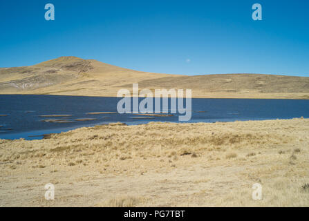 Ruhige Landschaft mit einem dunkelblauen See und getrocknetem Goldasen im Colca Valley, Peru Stockfoto