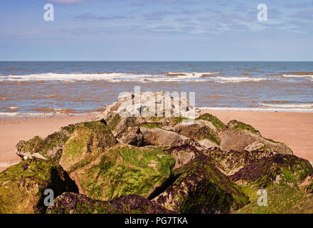 Meer Abwehr von Algen auf rossall Strand Stockfoto