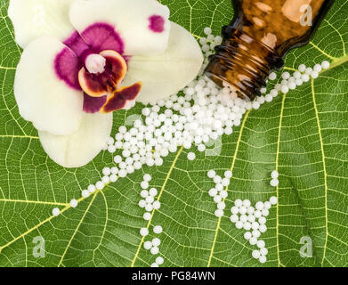 Globuli auf grünes Blatt, Orchidee, Blume, apothecary bottle Stockfoto