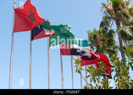 Flaggen der MENA-Region (Naher Osten und Nordafrika auf eine Reihe von fahnenmasten einschließlich der nationalen Flagge von Marokko, Kuwait, Saudi Arabien, Vereinigte Arabische Emirate, Stockfoto