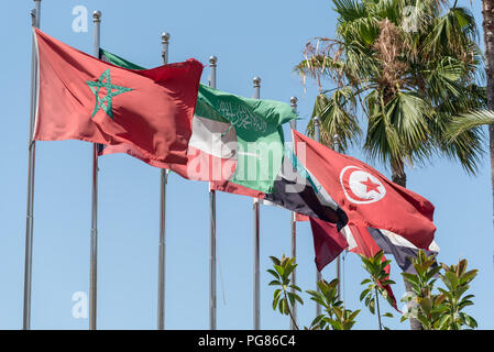 Flaggen der MENA-Region (Naher Osten und Nordafrika auf eine Reihe von fahnenmasten einschließlich der nationalen Flagge von Marokko, Kuwait, Saudi Arabien, Vereinigte Arabische Emirate, Stockfoto