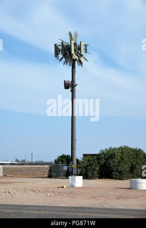 Handy Turm wie eine Palme in Südkalifornien getarnt. Stockfoto