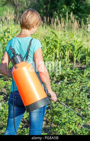 Frau Bauer ist der Schutz Kartoffeln Pflanzen aus pilzlichen Krankheiten oder Schädlinge mit Druck Sprüher im Garten Stockfoto