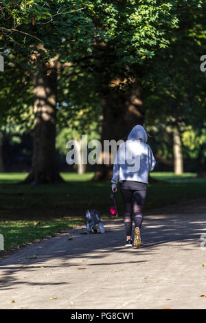 Northampton. Großbritannien 24. August 2018. Eine Frau, die ihrem Hund für einen morgendlichen Spaziergang in Abington Park, die Temperaturen waren in den einzelnen Abbildungen letzte Nacht und heute morgen viel kälter empfinden. Credit: Keith J Smith./Alamy leben Nachrichten Stockfoto