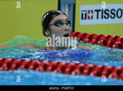 Jakarta, Indonesien. 24 Aug, 2018. Ikee Rikako von Japan reagiert, nachdem der Frauen 50 m Freistil Finale der Schwimmen am 18. asiatischen Spiele in Jakarta, Indonesien, Nov. 24, 2018. Ikee gewann die Goldmedaille. Credit: Fei Maohua/Xinhua/Alamy leben Nachrichten Stockfoto