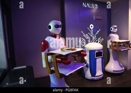 Kathmandu, Nepal. 24 Aug, 2018. Ein Roboter die Lebensmittel, die für Kunden auf Naulo Restaurant, eine automatisierte Restaurant in Kathmandu, Nepal, Nov. 24, 2018. Credit: Sunil Sharma/Xinhua/Alamy leben Nachrichten Stockfoto