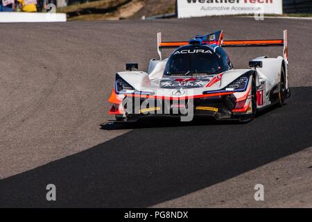 Bowmanville, KÖNNEN., 08. Jul 2018. 8. Juli 2018. Die Zahl 7 Acura DPi, angetrieben durch das Team von Helio Castroneves und Ricky Taylor, in dem Prototyp Serie, betritt die geschwungenen rechts abbiegen 1 am 08 Juli, 2018 Canadian Tire Motorsport Park während der Mobil1 Sportwagen Grand Prix Wochenende. Credit: Victor Biro/ZUMA Draht/Alamy leben Nachrichten Stockfoto