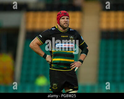 Northampton, Großbritannien. 24. August 2018. James Haskell von Northampton Heiligen während der Vor Saisonbeginn freundliches Spiel zwischen Northampton Saints und Glasgow Krieger am Franklin's Gardens. Credit: atsportphoto/Alamy leben Nachrichten Stockfoto