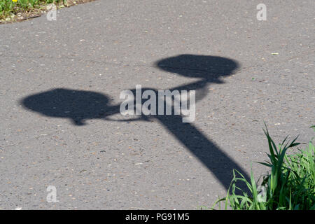 Szene einer Straßenlaterne Schatten auf Asphalt. Diese Szene war in einem Stadtpark in Komsomolsk-on-Amur, Russland Stockfoto