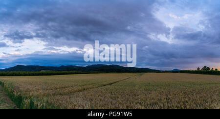 Deutschland, XXL Panorama der Schwarzwald Felder und Baum Berge in der Morgendämmerung Stockfoto