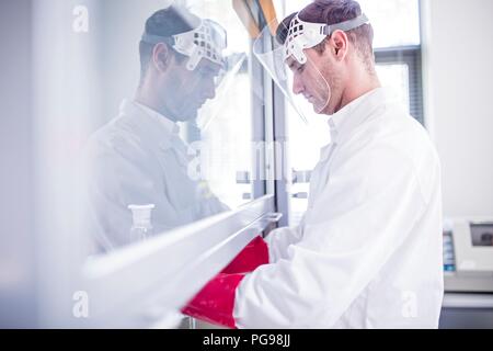 Labortechniker mit einem Laminardurchflußmesser mit Haube, dicke Handschuhe und ein Gesichtsschutz bei der Arbeit mit gefährlichen Chemikalien. Stockfoto