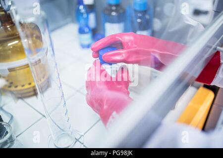 Labortechniker mit einem Laminardurchflußmesser mit Kapuze und dicke Handschuhe bei der Arbeit mit gefährlichen Chemikalien. Stockfoto