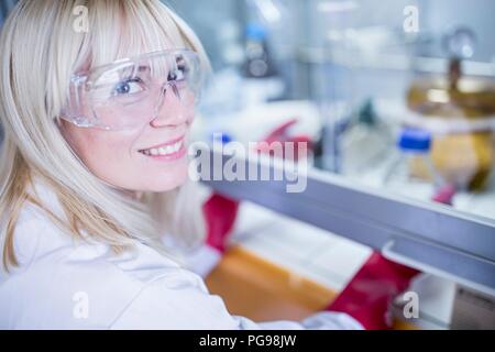 Labortechniker mit einem Laminardurchflußmesser mit Haube, dicke Handschuhe und Schutzbrille bei der Arbeit mit gefährlichen Chemikalien. Stockfoto