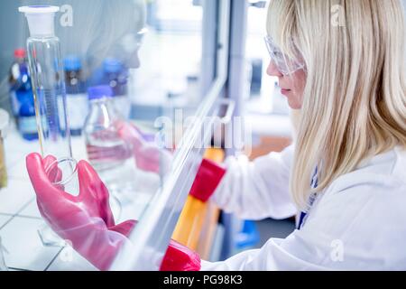 Labortechniker mit einem Laminardurchflußmesser mit Haube, dicke Handschuhe und Schutzbrille bei der Arbeit mit gefährlichen Chemikalien. Stockfoto