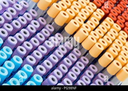 Vacutainer Blutentnahmeröhrchen. Stockfoto