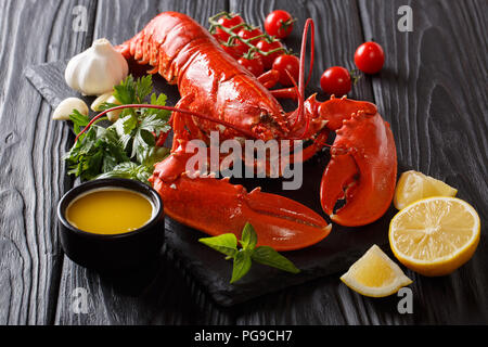 Ganze Red Lobster mit frischer Petersilie, Basilikum, Zitrone, Knoblauch, Tomaten und Butter Nahaufnahme auf dem Tisch. Horizontale Stockfoto