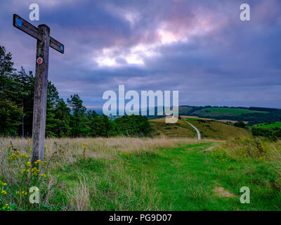 Bewölkt bedeckt Sommer Sonnenaufgang über dem South Downs Way Wanderweg von Beacon Hill und Harting in der South Downs National Park, Hampshire, Großbritannien Stockfoto