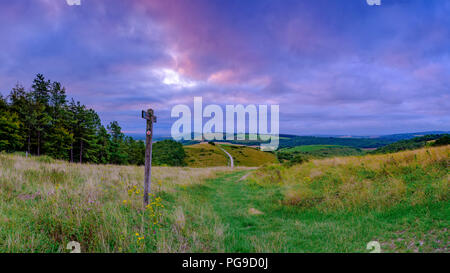 Bewölkt bedeckt Sommer Sonnenaufgang über dem South Downs Way Wanderweg von Beacon Hill und Harting in der South Downs National Park, Hampshire, Großbritannien Stockfoto