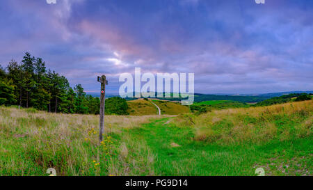 Bewölkt bedeckt Sommer Sonnenaufgang über dem South Downs Way Wanderweg von Beacon Hill und Harting in der South Downs National Park, Hampshire, Großbritannien Stockfoto