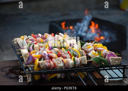 Bunte Spieße aus Fleisch und gemischtem Gemüse, fertig zum Braten auf dem Grill. Stockfoto