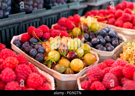 Wald Obst und Beeren in Papierfächer am Markt. Stockfoto