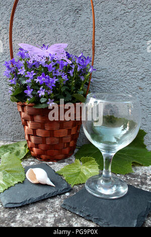 Immer noch Leben - blaue Trauben mit lila Blüten in einem Korb, grüne Blätter und leeren Glas Wein Stockfoto
