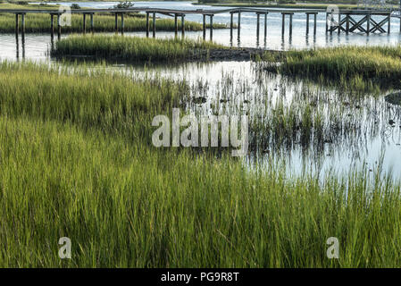 St. Augustine, Florida Mündungs- Salt Marsh in Matanzas Bay in der Nähe von St. Augustine inlet Stockfoto