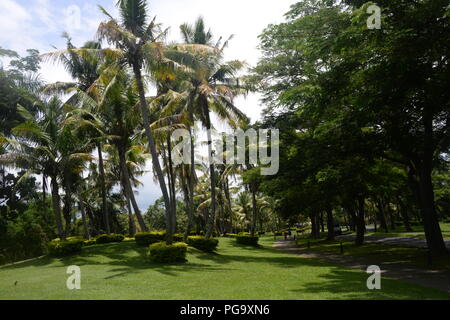 Üppigen Parklandschaft erstreckt sich auf der Insel Denarau. Die rasenflächen sind gepflegt und Palmen gedeihen überall. Diese Bäume sind am Rande des Golfplatzes. Stockfoto