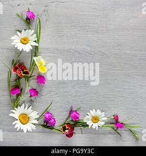 Blumen Komposition. Das Gestell ist aus Blüten von Gänseblümchen, Veilchen und Phlox. Flach, Ansicht von oben Stockfoto