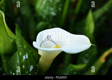 White Gold Diamond Ring und Lily Flower. Stockfoto